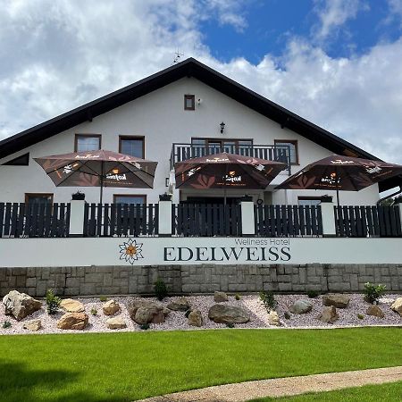 Wellness Hotel Edelweiss リベレツ エクステリア 写真