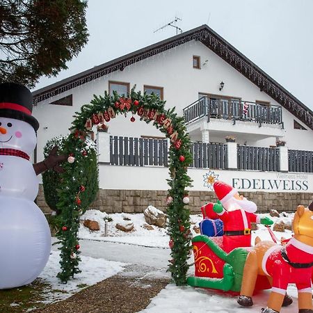 Wellness Hotel Edelweiss リベレツ エクステリア 写真