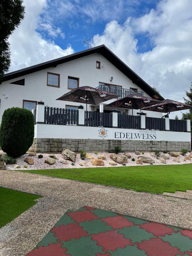 Wellness Hotel Edelweiss リベレツ エクステリア 写真