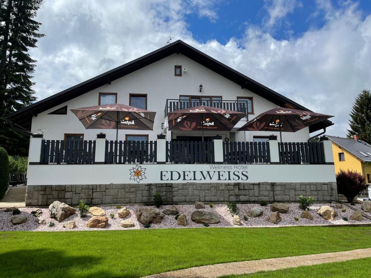 Wellness Hotel Edelweiss リベレツ エクステリア 写真